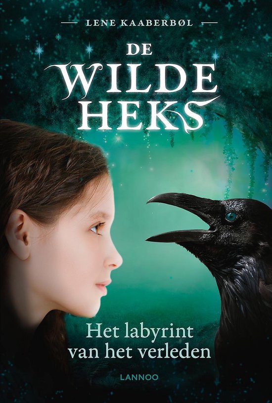 De wilde heks 5 -   Het labyrint van het verleden