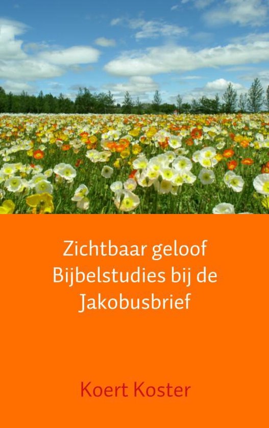 Zichtbaar geloof Bijbelstudies bij de Jakobusbrief