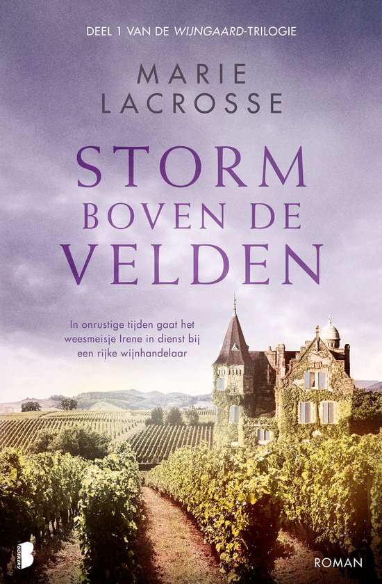 Wijngaard 1 - Storm boven de velden