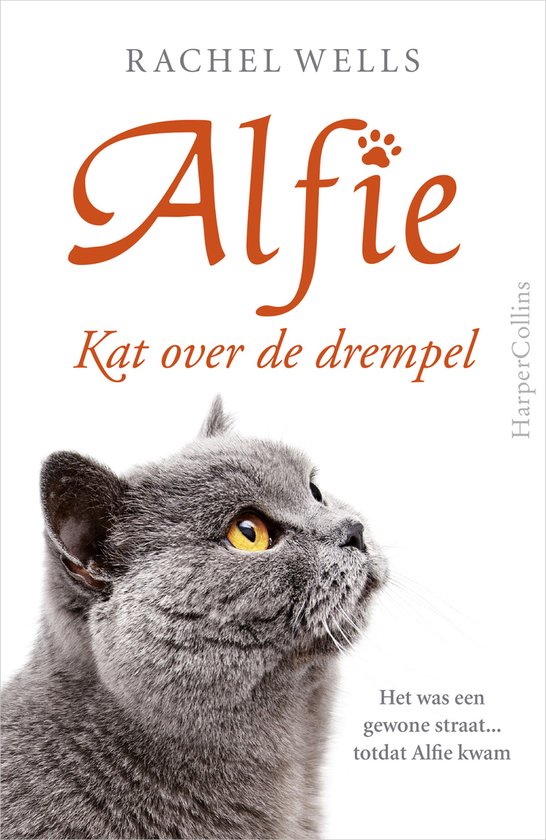 Alfie  -   Kat over de drempel