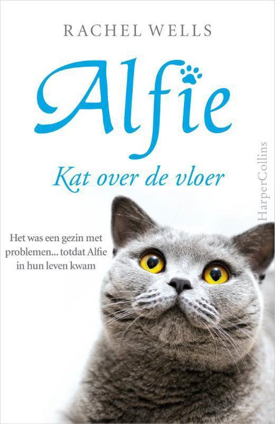 Alfie  -   Kat over de vloer