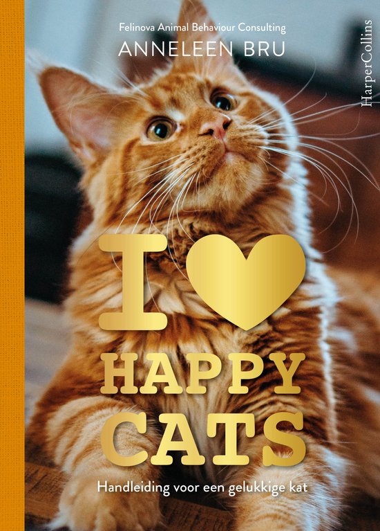 I Love Happy Cats