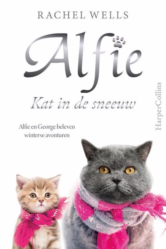 Alfie - Kat in de sneeuw