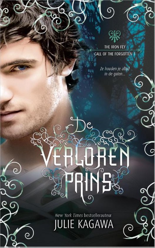 The Iron Fey - Call of the Forgotten 1 -  De verloren prins 1