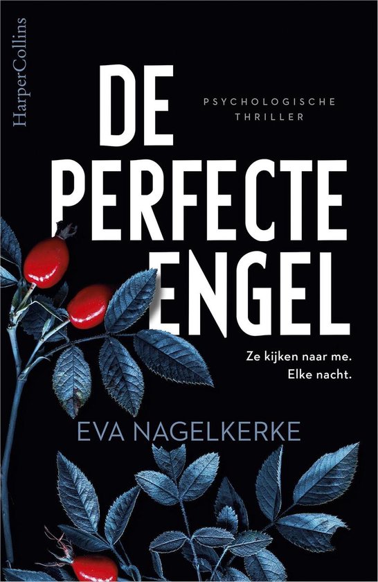 De perfecte engel