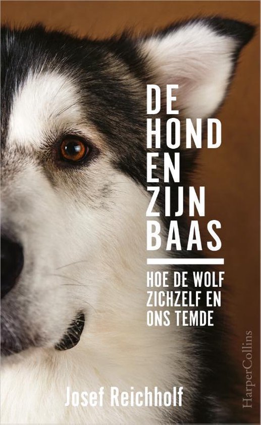 De hond en zijn baas