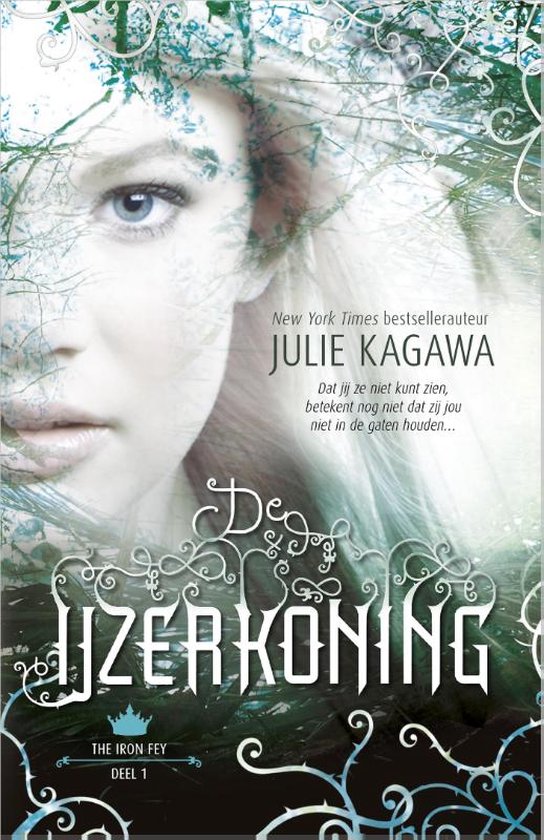 The Iron Fey 1 -   De IJzerkoning