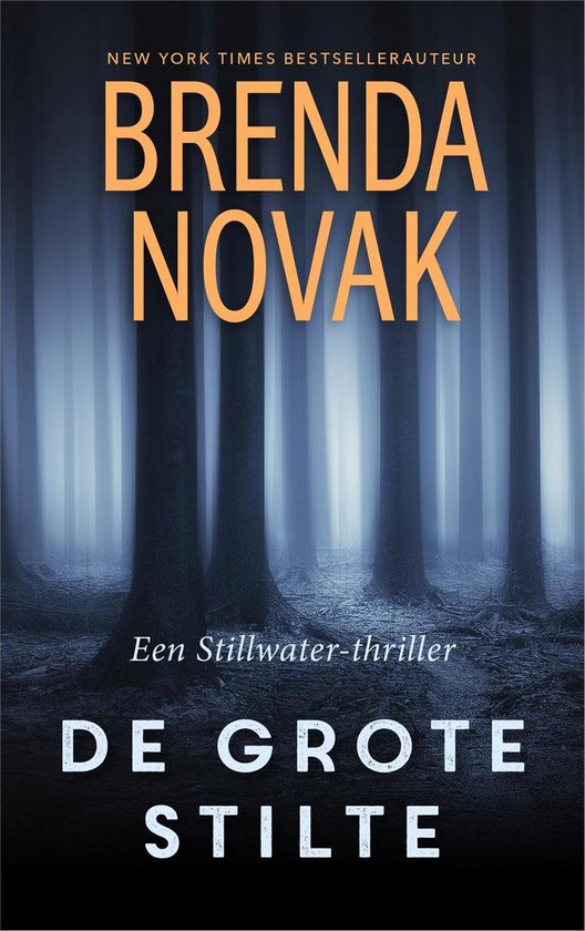 Stillwater-trilogie 2 - De grote stilte
