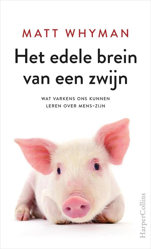 Het edele brein van een zwijn