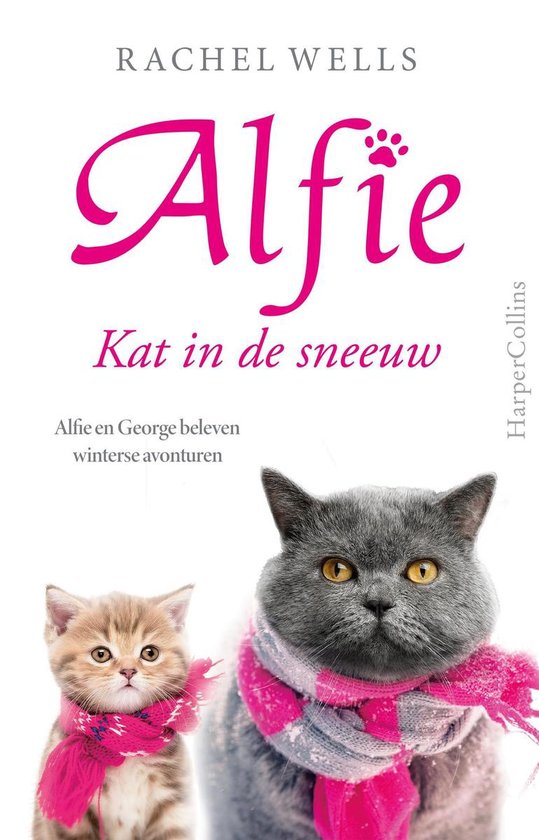 Alfie - Kat in de sneeuw