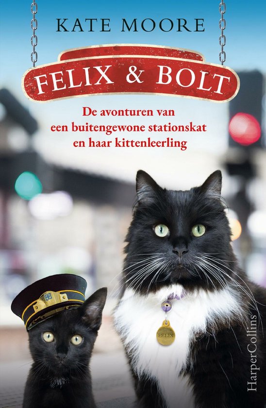 Felix & Bolt