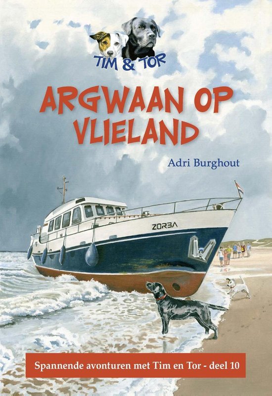 De avonturen van Tim en Tor 10 - Argwaan op Vlieland