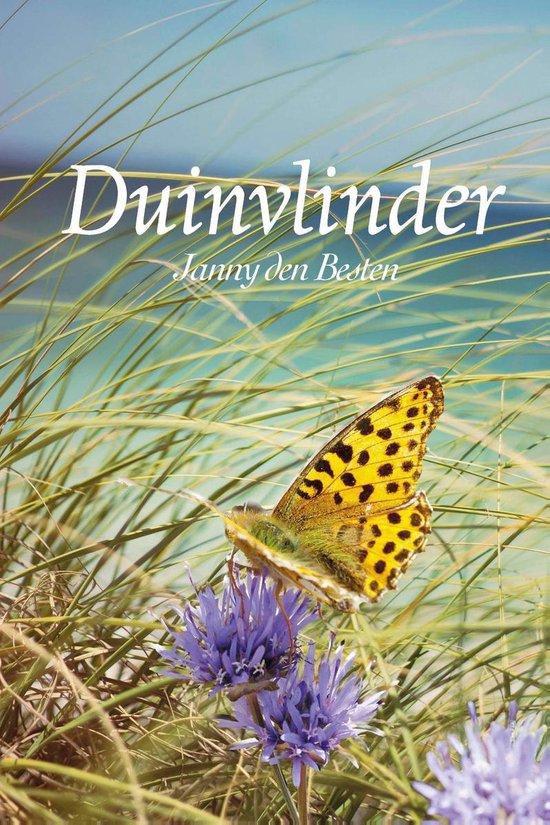 Duinvlinder