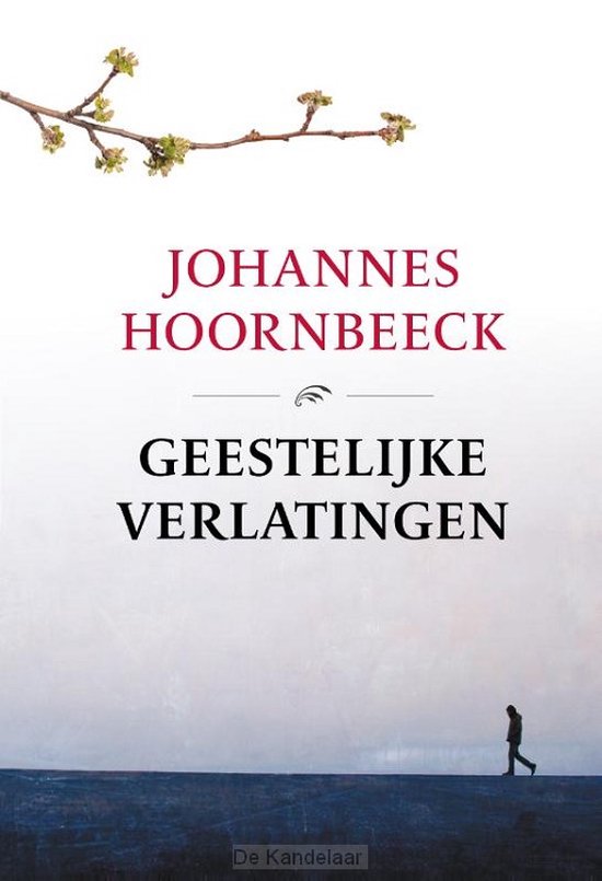 Geestelijke verlatingen - Johannes Hoornbeeck