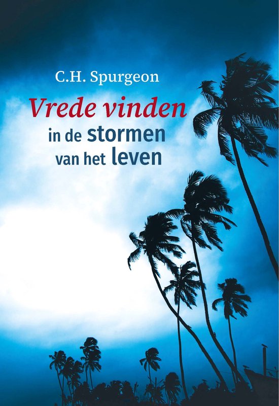 Vrede vinden in de stormen van het leven