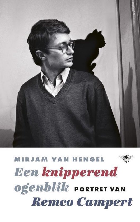 Een knipperend ogenblik