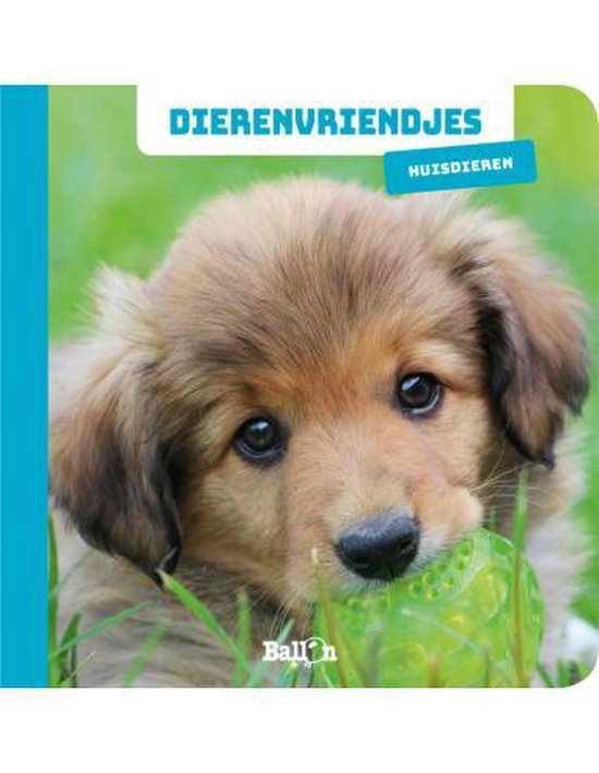 Dierenvriendjes - Huisdieren