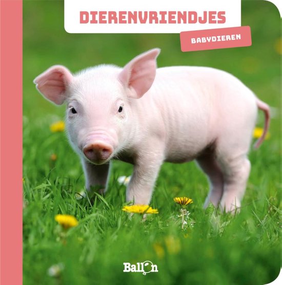 Dierenvriendjes - Babydieren