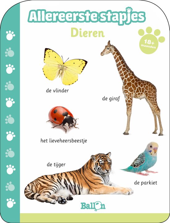 Allereerste stapjes - Dieren 18-24 maanden