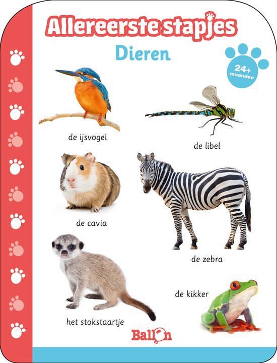 Allereerste stapjes - Dieren 24-36 maanden