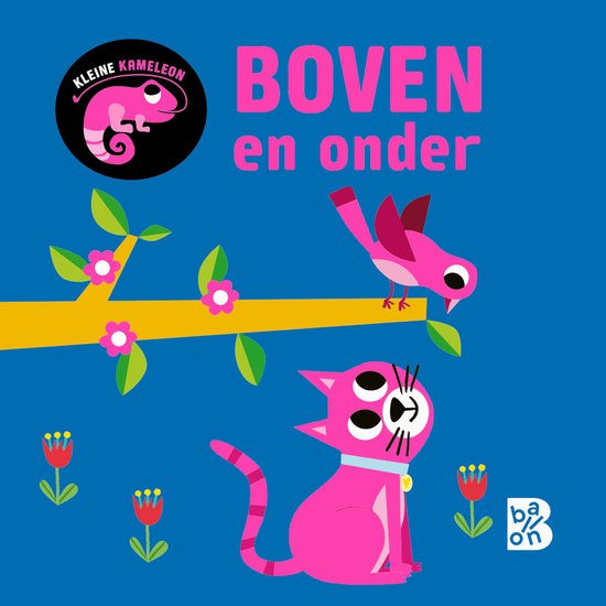 Kleine Kameleon 1 - Boven en onder