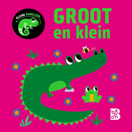 Groot en klein 1 - Kleine kameleon