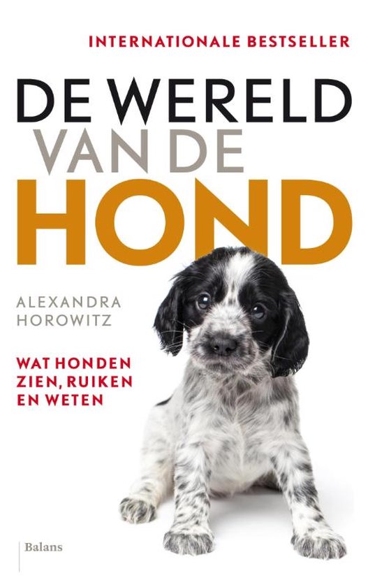 De wereld van de hond