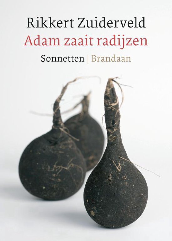 Adam zaait radijzen