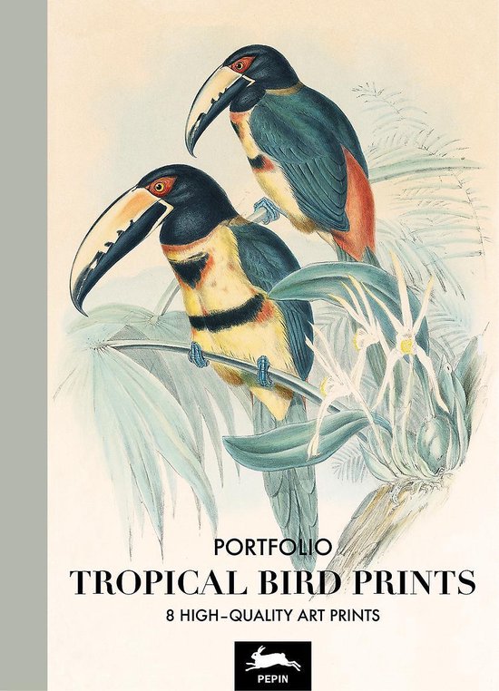 Tropical Bird Prints