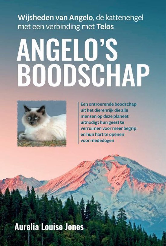 Angelo’s boodschap