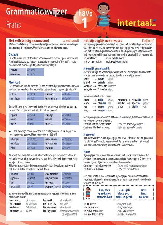 Grammaticawijzer Frans HAVO leerjaar 1