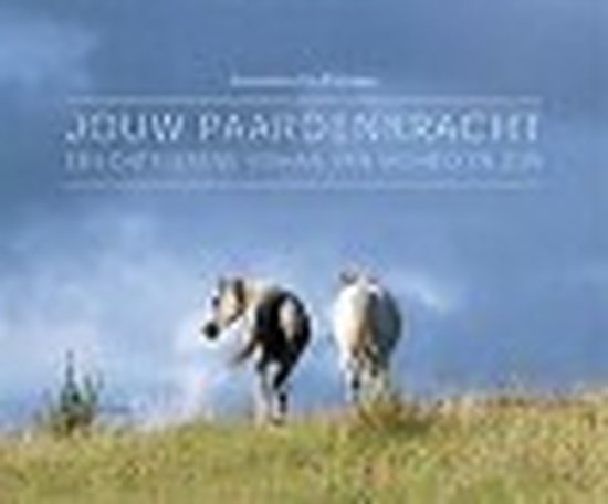 Jouw paardenkracht