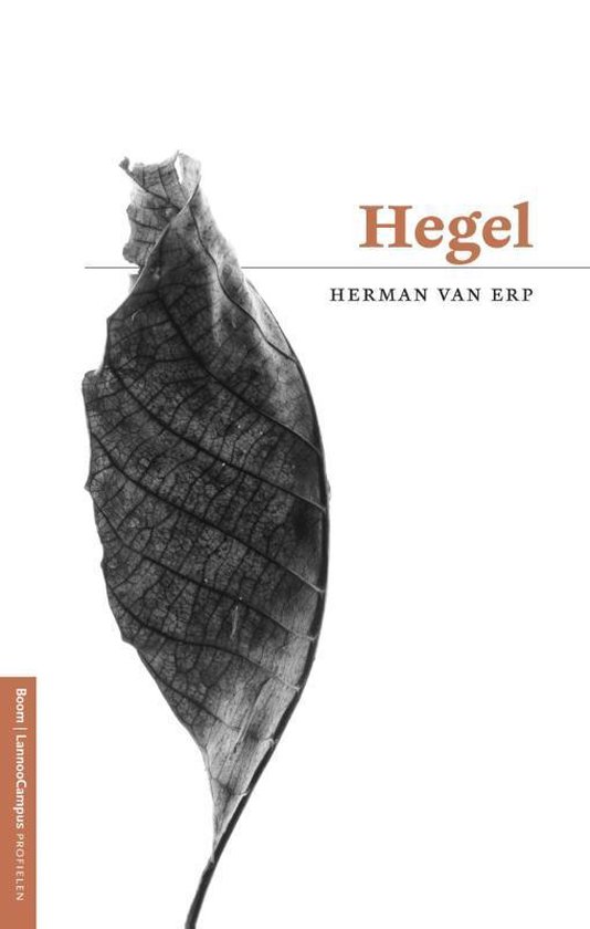 Profielen - Hegel