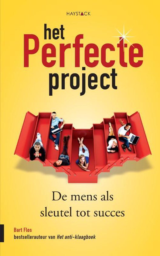 Het perfecte project