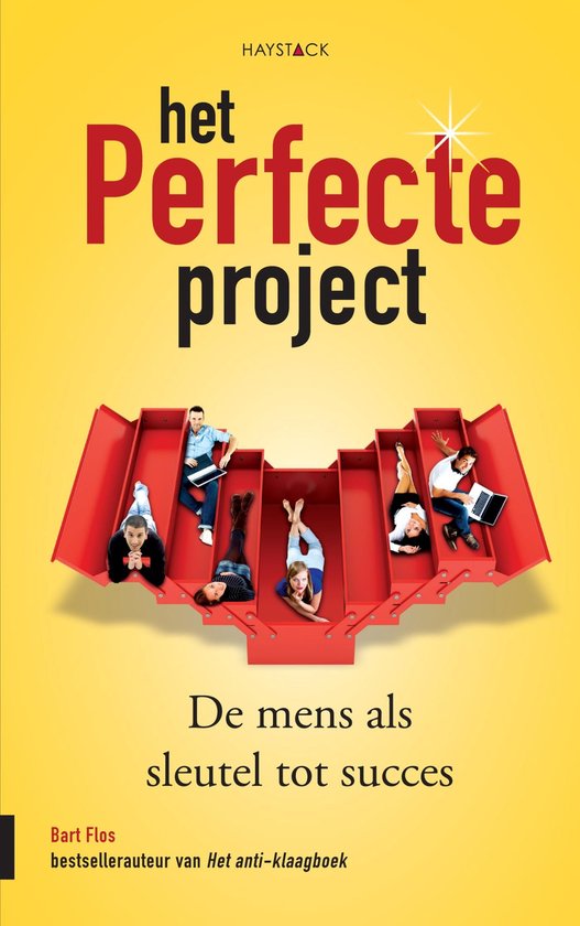 Het perfecte project