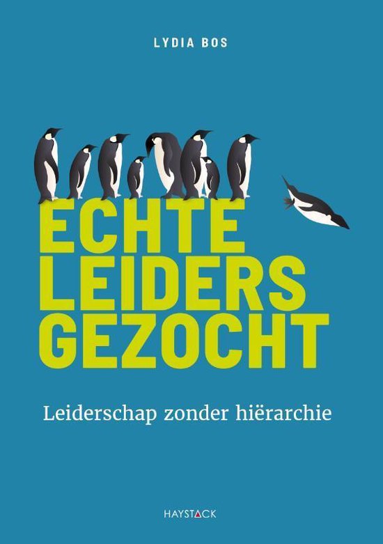 Echte leiders gezocht