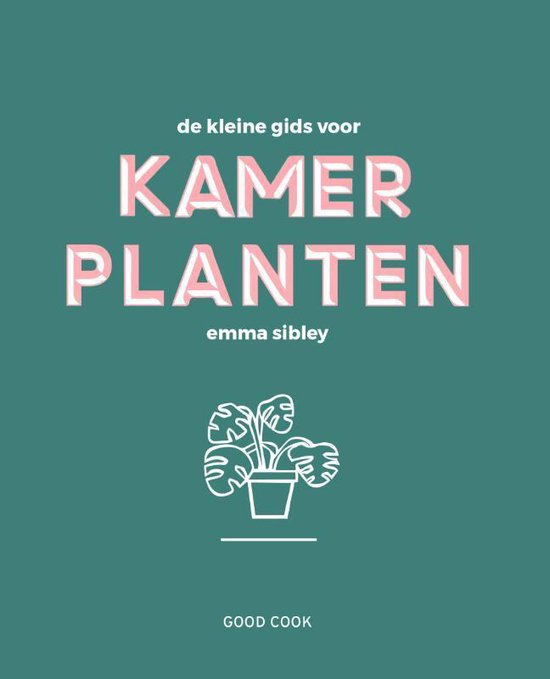 De kleine gids voor kamerplanten