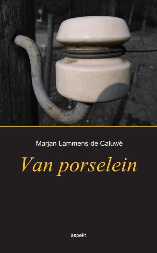 Van porselein