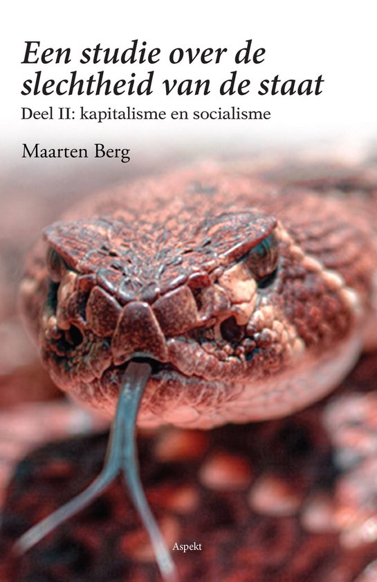 Een studie over de slechtheid van de staat deel II kapitalisme en socialisme