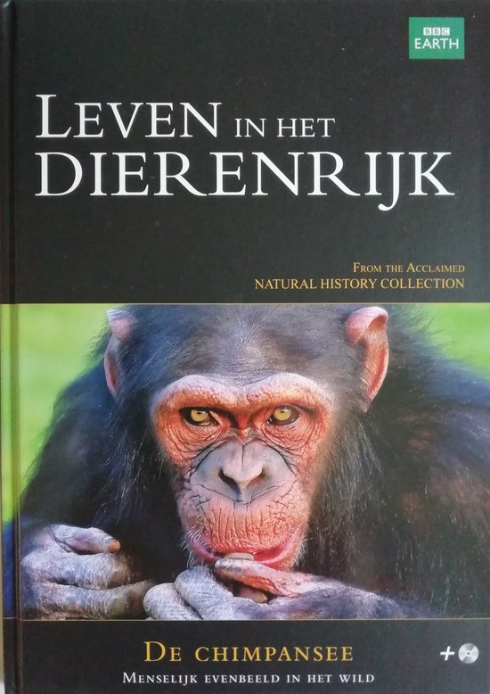 Leven in het dierenrijk.  De Chimpansee