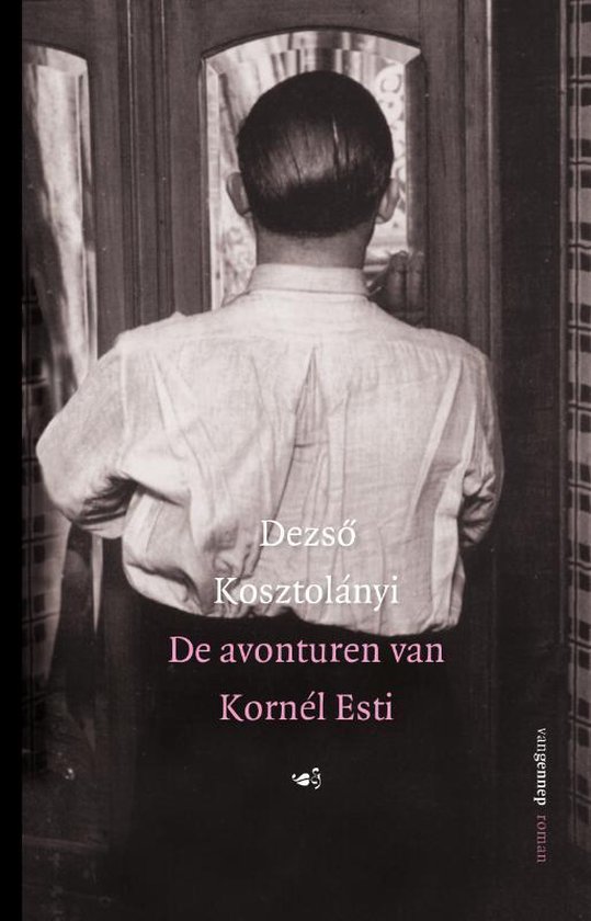 De avonturen van Kornél Esti