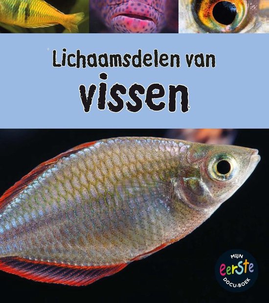 Onder de loep - Lichaamsdelen van vissen