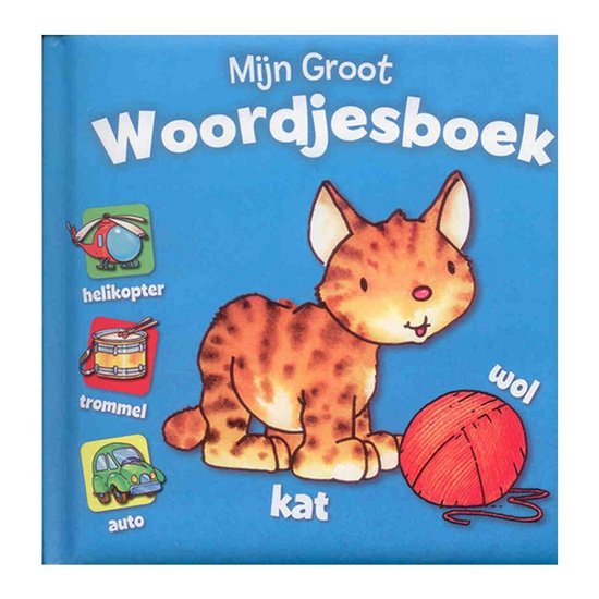 Mijn groot woordenboek