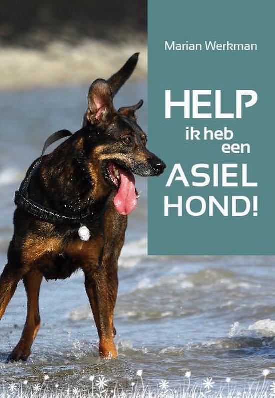 Help, ik heb een asielhond!