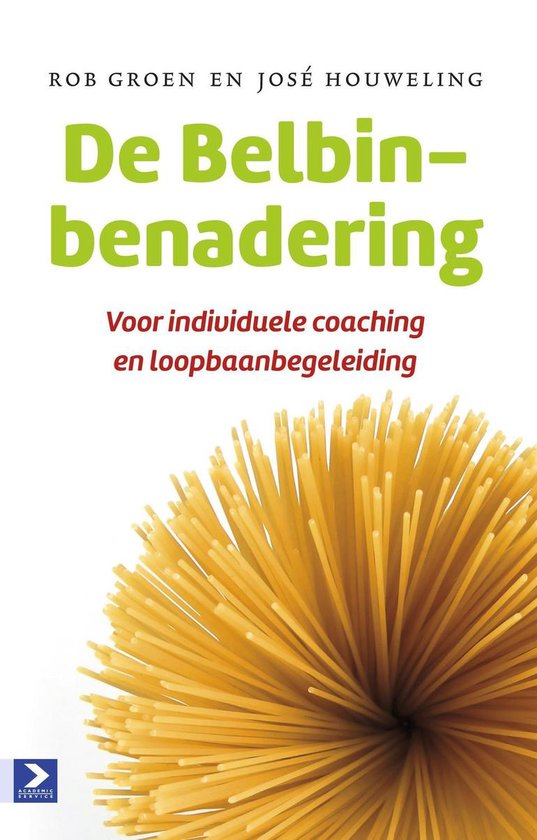 De Belbin-benadering