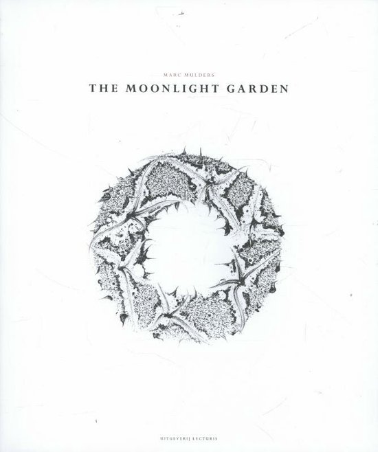 The moonlight garden