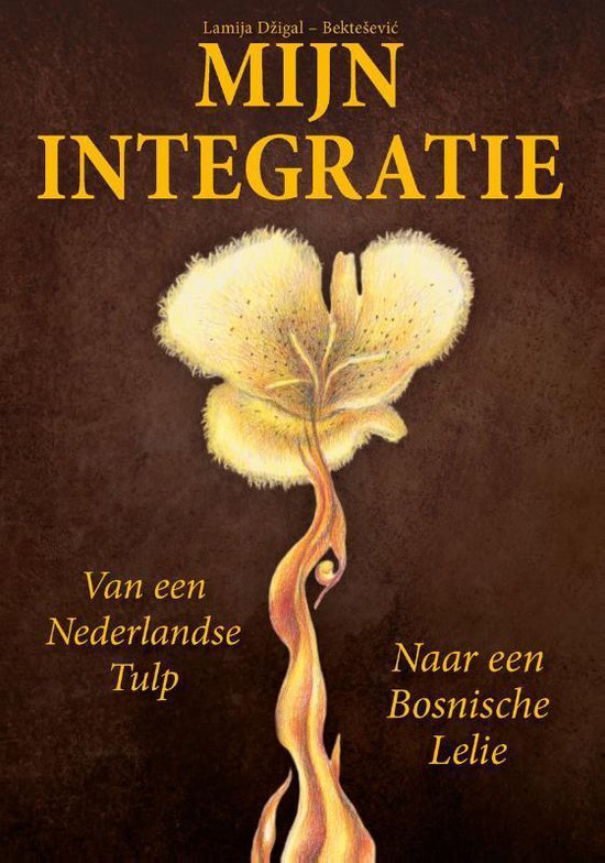 Mijn integratie