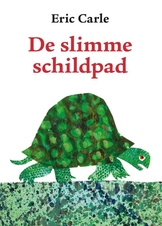 De slimme schildpad