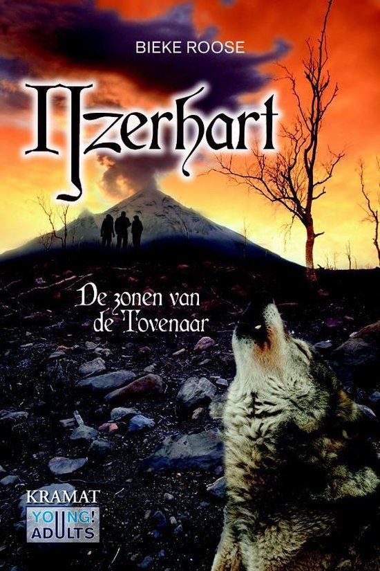 De zonen van de tovenaar 2 -   Ijzerhart