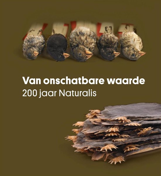 Van onschatbare waarde